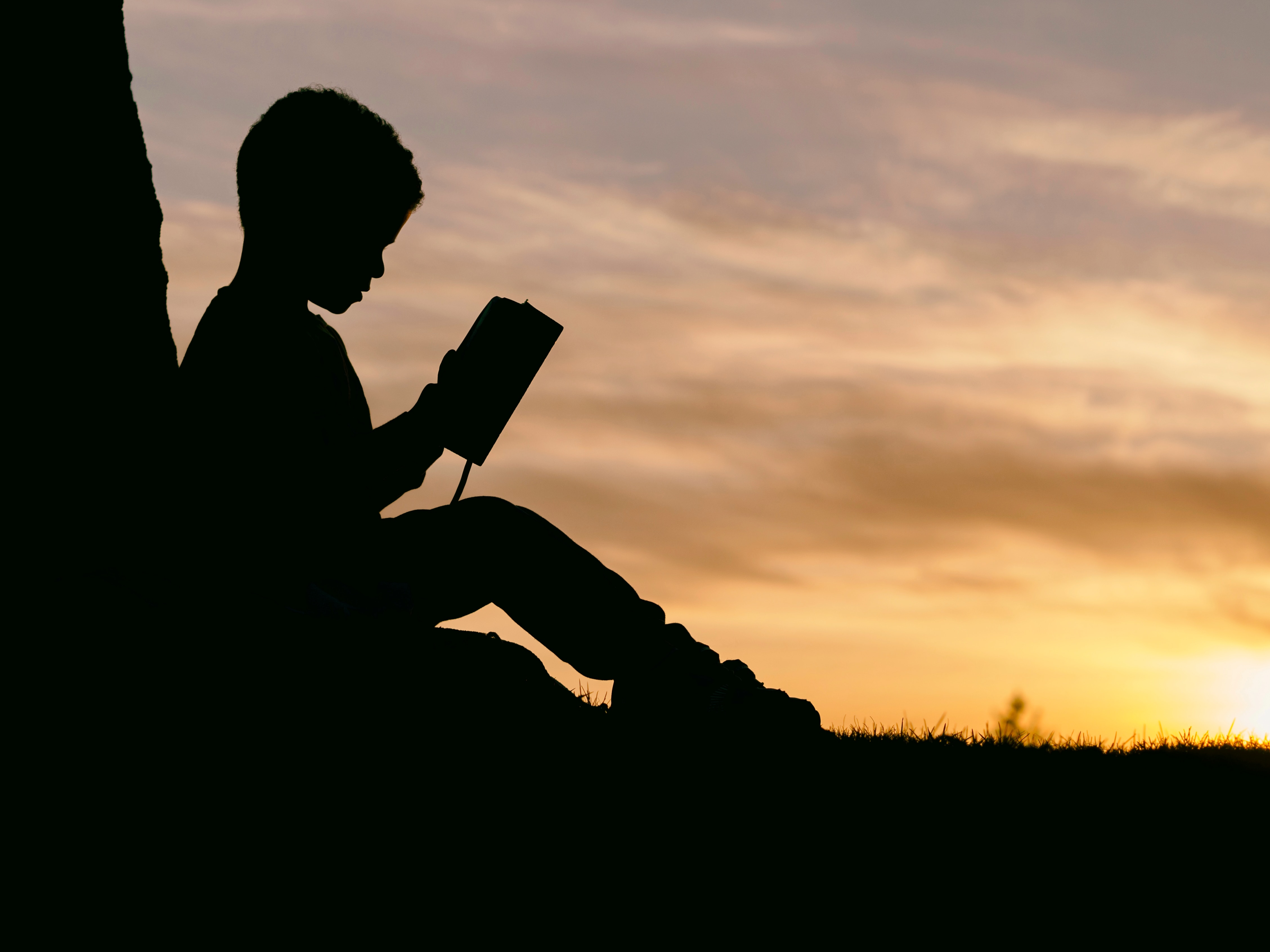 child reading outside at sunrise or sunset